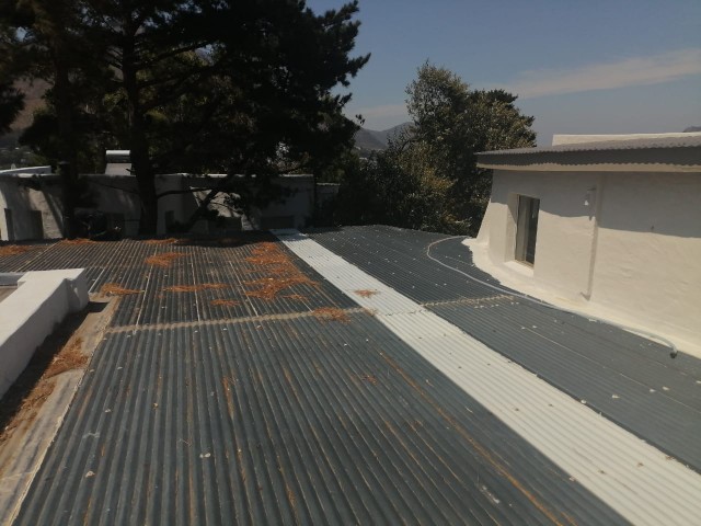 1000163809